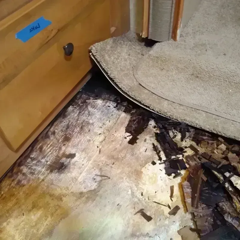 Wood Floor Water Damage in San Leon, TX